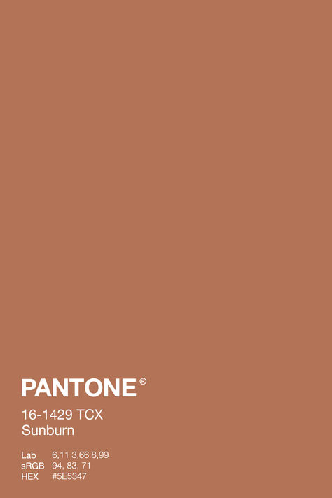 A warm terracotta color swatch labeled Pantone 16-1429 TCX Sunburn, evoking the rich tones of sun-drenched clay and cozy autumn evenings. This color is part of a fall-inspired Natural Habitat Palette, ideal for adding warmth and inviting depth to interior designs or seasonal projects. Autumn Pantone, Relax Pictures, Color Palette Terracotta, Terracotta Palette, Pantone Autumn, Earthy Colour Palette, Terracotta Color Palette, Sienna Color, Terracotta Colour