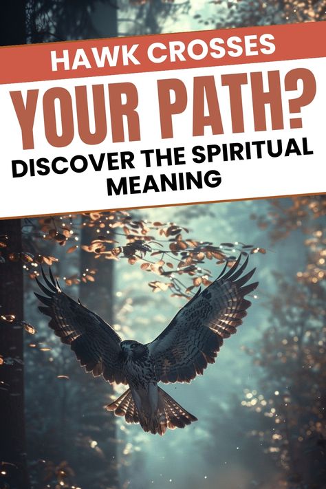 Hawk crossing path spiritual meaning. Hawks Spiritual Meaning, Seeing A Hawk Meaning, Hawk Spiritual Meaning, Hawk Medicine, Hawk Meaning, Bird Symbolism, Sharp Shinned Hawk, Hawk Bird, Spiritual Eyes