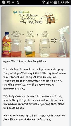 Itchy Dog Spray, Flea Remedies, Pet Remedies, Dog Spray, Itchy Dog, Cat Tips, Flea Spray, Dog Remedies, Plant Medicine