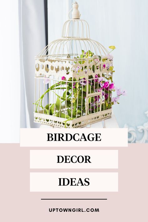 Garden Birdcage Ideas, Shabby Chic Bird Cage Ideas, Fake Bird Cage Decor, White Bird Cage Decor, How To Decorate A Bird Cage Ideas, Birdcages Decor Ideas Display, Decorating Birdcages Ideas, Small Birdcage Decor Ideas, Birdcage Decorating Ideas