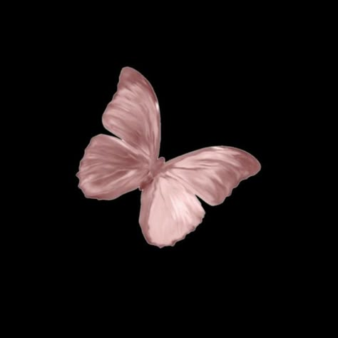 Pink Png Icon, Pink Png, Background Dark, Pink Butterfly, Pink Black, We Heart It, Lost, Pink, Black