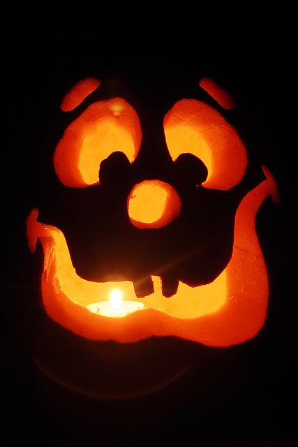 Silly Face Funny Face Pumpkin Carving, Silly Face Pumpkin Carving Ideas, Silly Pumpkin Carving Ideas, Pumking Haloween Ideas Carving, Cute Pumpkin Carving Faces, Goofy Pumpkin Faces, Silly Pumpkin Faces Carving, Pumpkin Faces Ideas Cute, Pumpkin Carving Faces