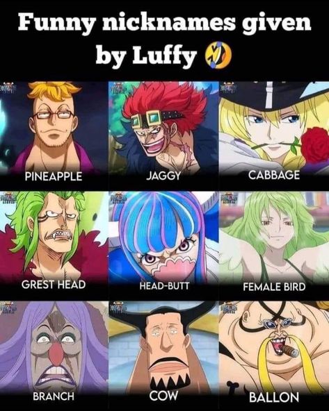 Luffy Pictures, One Piece Funny Moments, One Piece Theme, Funny Nicknames, One Piece Gif, One Piece Cartoon, One Piece Meme, Anime Villians, Anime Funny Moments