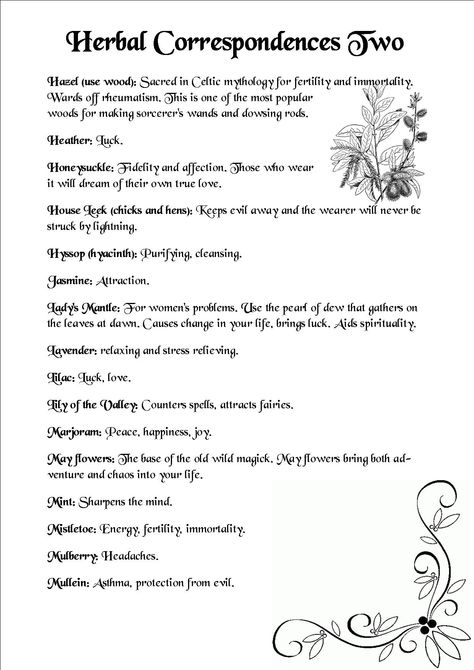 Herbal Correspondences Wicca Correspondences, Herb Correspondences, Herbal Correspondences, Sorcerer Wand, Spell Ingredients, Magickal Herbs, Witch Herbs, Magic Herbs, Magical Herbs