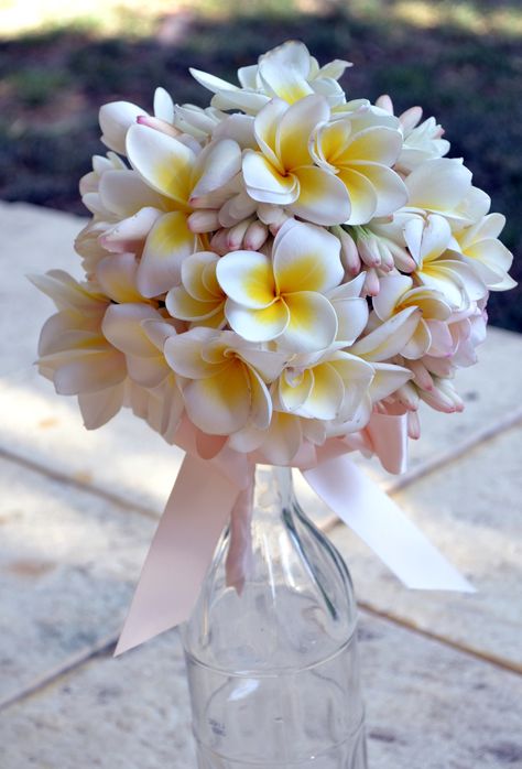 Wedding Tropical Bouquet, Plumeria Flower Bouquet, Plumeria Flowers Bouquets, Frangipani Wedding Decorations, Frangipani Wedding Bouquet, Frangipani Bouquet, Hawaiian Bouquet, Fiori Frangipani, Flores Plumeria