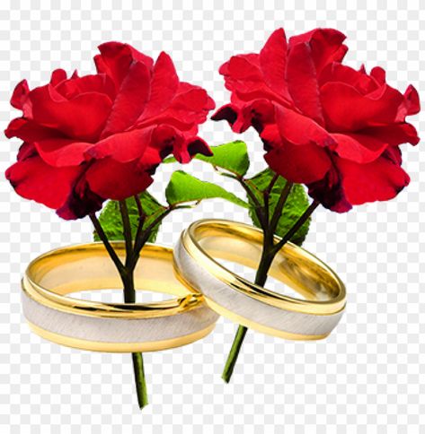 Wedding Ring Png, Ring Png, Make Your Own Wedding Invitations, Flower Border Png, Wedding Borders, Red Wedding Invitations, Red Rose Wedding, Flowers Png, Flower Wedding Invitation