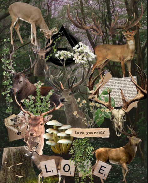 ignore | #therian #therianthropy #therianthropyisnotachoife #shuffle #picsart #edit #quadrobics #quads Desdemona Aesthetic, Deer Moodboard, Deer Types, Therian Types, Deer Therian, Therian Wallpaper, Female Deer, Deer Theme, Male Deer