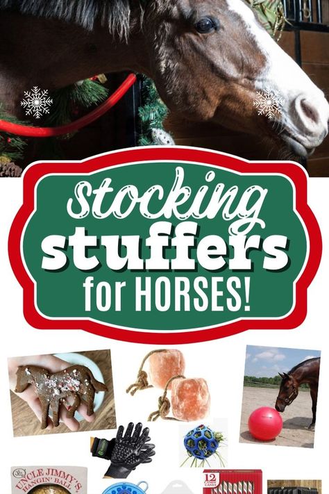 There's no use in denying it: one of the best things about owning or leasing or exclusively lessoning a horse is being able to pamper him! We love buying treats for our horses and Christmas is no exception! Check out this list of fun stocking stuffer ideas to give your horse. Horse Christmas Gifts, Stocking Stuffer Ideas, Christmas Horses, Horse Treats, Best Stocking Stuffers, Christmas Snacks, Horse Barns, Horse Barn, Stocking Stuffer Gifts