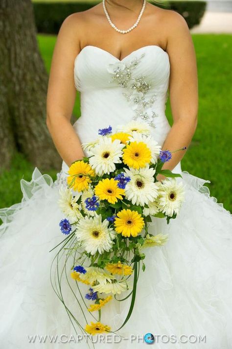 Gerber Daisy Bouquet, Daisy Bridal Bouquet, Ideas Casamiento, Gerbera Daisy Wedding, Dragonfly Wedding, Jade Wedding, Gerber Daisies, Gerbera Daisy, Wedding Bridal Bouquets