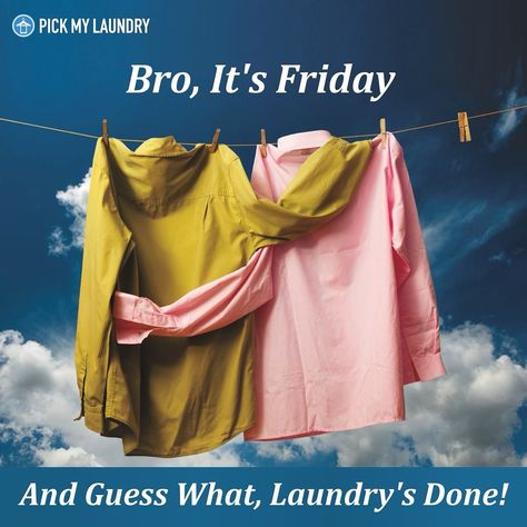 Laundry Delivery Service, Laundry Service Business, Laundry Delivery, Dry Cleaning Business, Funny Illusions, Coffee Advertising, Laundry Dry Cleaning, Laundry Business, Wash And Fold