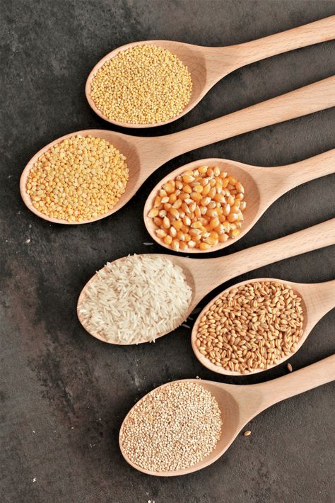 Mill Your Own Flour Using a Grain Mill | The Belly Rules The Mind Gf Flour Blend, Learn Cooking, Spices Photography, Grain Store, Tom Brown, Grain Recipes, Grain Mill, Gf Flour, Whole Grain Flour