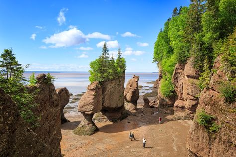 7 Must-See Destinations in New Brunswick, Canada Hopewell Rocks, Cabot Trail, Seasons Months, New Brunswick Canada, Rv Living Full Time, Travel Canada, Free Camping, Summer Road Trip, In Season Produce