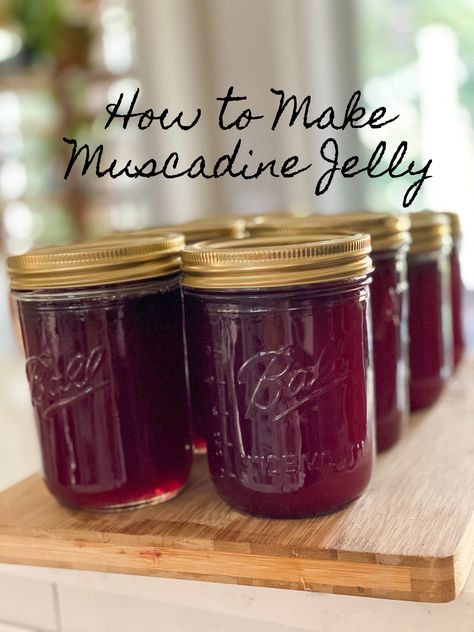 Muscadine Canning Recipes, Canning Muscadine Jelly, Muscadine Grape Jelly Recipe, Muscadine Grape Recipes, Mustang Grape Jelly Recipe, Muscadine Grapes Recipes, Easy Muscadine Jelly Recipe, Muscadine Jelly Recipe, Muscadine Recipes