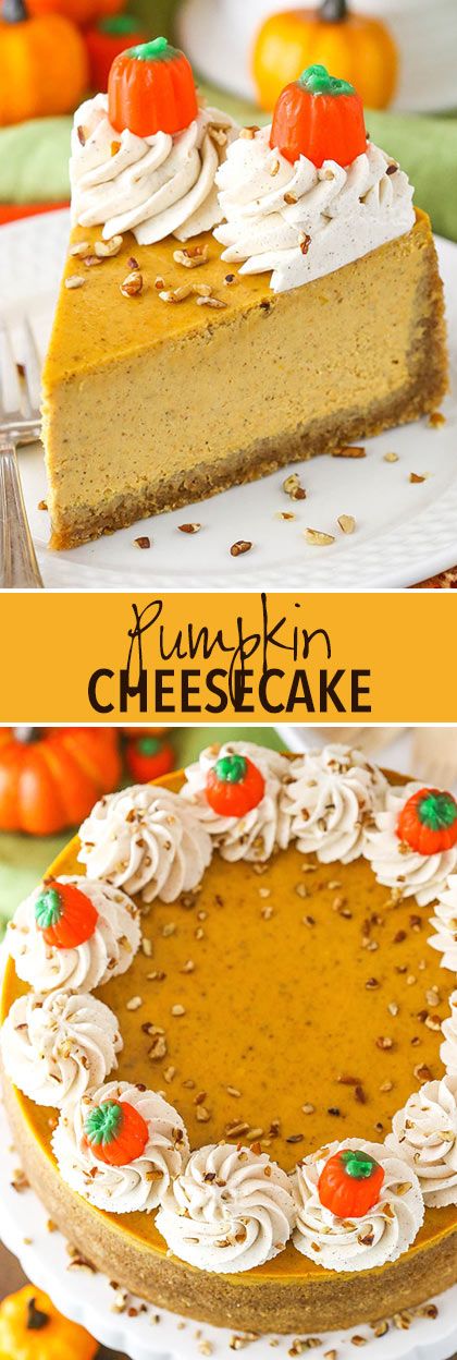 Keto Cheeses, Keto Guidelines, Easy Pumpkin Cheesecake, Cheesecake Cream, Cream Cheese Whipped Cream, Dessert For Fall, Decorated Pumpkin, Whipped Pumpkin, Pumpkin Cheesecake Recipes