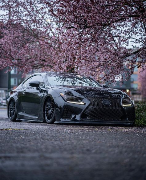 Lexus Rcf Modified, Lexus Rcf Wallpaper, Rcf Lexus, Lexus Rcf, Dream Cars Lexus, Car Hub, Ford Rs, Lexus Models, Anime Lock Screen Wallpapers