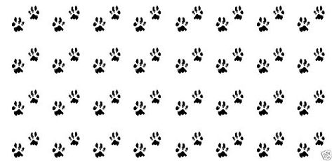 Bear Paw Water Slide Nail Art Decals  Salon Quality *** Find out more about the great product at the image link.(It is Amazon affiliate link) #tagblender Nail Art Decals, Bear Paw, Bear Paws, Milwaukee Wi, Water Slide, Art Decals, Water Slides, Amazon Affiliate, Milwaukee