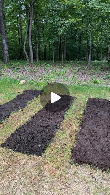 Bailey Van Tassel on Instagram: "🎃Tiny pumpkin patch enters the chat🎃  I made classic no-till beds on top of grass using cardboard and compost. You want the compost 3-4” deep and may still also want to make tiny hills for your pumpkin seeds. We want the roots to be strong enough to push down through the cardboard and tough native soil.   I’ll be making sure this stays damp until germination and may need to cover these beds for protection - or fence it. We’ll see!   I have visions of the neighborhood kids coming to find a pumpkin with their name on it. If you carve your name in with a nail, it puffs up as the pumpkin grows! A pumpkin treasure hunt!   Stay tuned for the final showing of this spooky little patch." Pumpkin Garden Ideas Raised Beds, Pumpkins In Raised Beds, Growing A Pumpkin Patch, Pumpkin Garden Bed, Backyard Pumpkin Patch, Small Pumpkin Patch Garden, Garden Pumpkin Patch, Small Pumpkin Patch, Raised Bed Pumpkin Patch