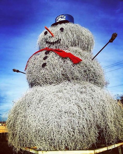 Albuquerque's Tumbleweed Snowman Tumbleweed Snowman, Snowman Real, Bright Christmas Decorations, Make A Snowman, Land Of Enchantment, Chicken Tortilla, Tortilla Soup, Make Happy, Christmas Decorating