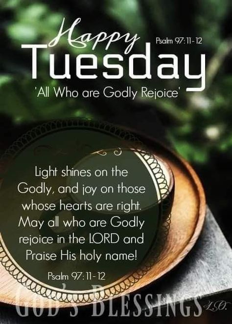 Encouraging Scripture Quotes, Bible Verses About Prayer, Tuesday Quotes Good Morning, Tuesday Greetings, Tuesday Blessings, Morning Tuesday, Happy Tuesday Quotes, Good Morning Tuesday, Tuesday Quotes