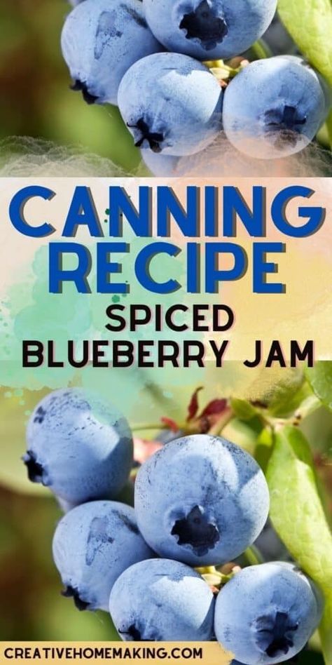 Canning Spiced Blueberry Jam - Creative Homemaking Blueberry Jam Recipe Canning, Jam For Canning, Blueberry Jam Recipe, Jar Of Jam, Canning Recipe, Cinnamon Twists, Canning Lids, Oven Canning, Blueberry Jam