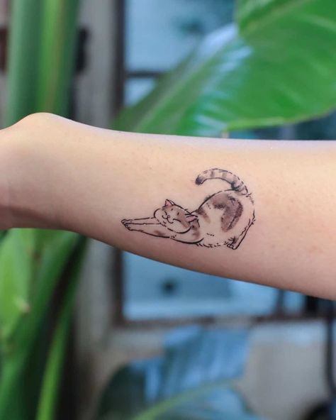 Least Painful Tattoo, Cute Cat Tattoo, Tattoo Spots, Saved Tattoo, Elements Tattoo, Cat Tattoos, Back Of Shoulder Tattoo, Cat Tattoo Designs, Healing Tattoo