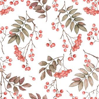 Premium Photo | Photo hand painted watercolor autumn rowan branch with red berries and leaves perfect for autumn design greeting cards invitations packaging harvest festival llustration isolated on white background Rowan Branch, Autumn Design, Harvest Festival, Card Banner, Poster Invitation, Photo Photo, Fall Design, Red Berries, Premium Photo