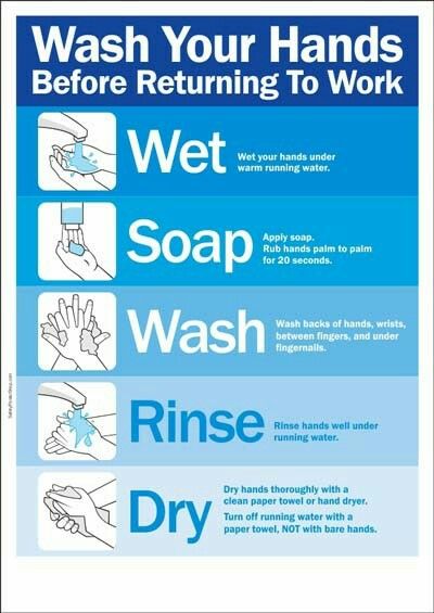 Kitchen Hygiene : Germs spread very easily between our hands and food so having a clean pair of hands before engaging in any food prep or cooking is essential. Washing your hands properly when touching raw meat, after going to the toilet and after using the bin can significantly help to reduce the spread of harmful bacteria such as E. coli and salmonella. Using anti-bacterial hand washes and wipes make a real difference in hand and kitchen hygiene. Kitchen Safety Tips, Food Safety Posters, Food Safety And Sanitation, Food Safety Training, Hygiene Activities, Hand Washing Poster, Kitchen Hygiene, Health And Safety Poster, Food Safety Tips