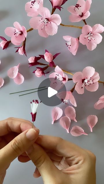 Eileen Lim ~ Paper Artist on Instagram: "Making cherry blossoms! I gotta say these little blooms look deceivingly simple but they’re a tough one to crack! Went through multiple multiple prototypes to get to this one and whoosh I’m glad to finally reach this point 😂🌸 . #papercherryblossoms #papersakuras #crepepapersakuras #cherryblossoms #sakura #diysakura #paperflowers #crepepapercherryblossoms #crepepaperflowers" Paper Flower Making Step By Step, Cherry Blossom Gift Ideas, Paper Flowers Cherry Blossom, How To Make Paper Cherry Blossom Flowers, Tissue Paper Cherry Blossoms Diy, Cherry Blossom Paper Craft, Cherry Blossom Pattern, Sakura Flower Paper Craft, Paper Mache Cherry Blossom Tree