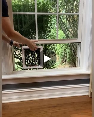 Cat Door Window, Horizontal Windows, Cat Doors, Cat Flap, Window Inserts, Outdoor Cat Enclosure, Cat Window, Outdoor Cat, Studio Flat