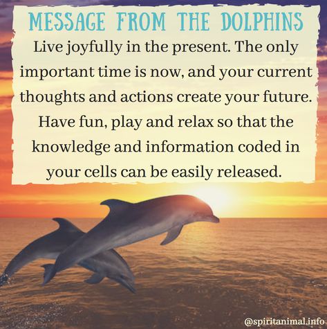 Dolphin Spirit Animal, Elephant Spirit Animal, Animal Totem Spirit Guides, Dolphin Quotes, Dolphin Images, Spirit Animal Meaning, Dolphin Photos, Animal Meanings, Spirit Animal Totem