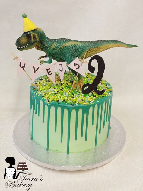 Green Dinosaur Birthday Cake, Easy Dinosaur Birthday Cake, Dino Cakes Boys, Dinosaur Cake Ideas Boys, Dinosaur Drip Cake, Green Dinosaur Cake, Dinosaur Cake For Boys, Simple Dinosaur Cake, Diy Dinosaur Cake