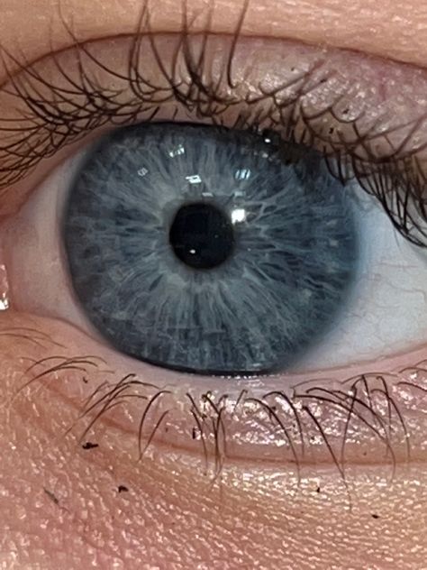 Shades Of Blue Eyes Chart, Greyish Blue Eyes, Gunmetal Blue Eyes, Grey Blue Eyes, Soft Academia, Gunmetal Blue, Dark Blue Eyes, Types Of Eyes, Physical Change