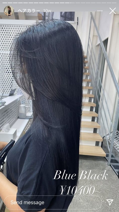 Black Bluish Hair, Blue Undertone Black Hair, Black Blue Undertone Hair, Dark Brown With Blue Tint, Dark Blue Black Hair Color, Deep Midnight Blue Hair, Dark Blue Grey Hair, Black Hair Blue Undertone, Blueblack Haircolor