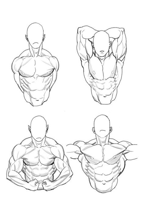 Estoy mamadisimo Men Stretching Reference, Chest Muscles Drawing, Upper Body Anatomy Drawing, Chest Anatomy Reference, Male Chest Anatomy, Drawing Models, Anatomy References, Reference Ideas, Sketch Poses