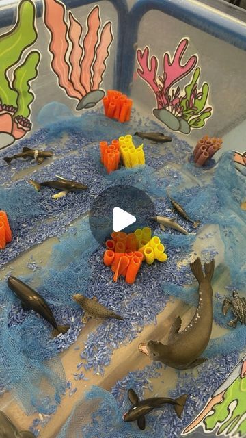 Selin ~ 🎨 🖍️ Reception Class Teacher 🖍️ 🎨 on Instagram: "Coral Reef 🪸 

Our topic this term is ‘Around the world’ and the first week we are looking at Australia 🇦🇺 
Set this tray up for the little ones to generate conversation around the Great Barrier Reef 🪸 

#coral #coralreef #ocean #greatbarrierreef #eyfs #eyfsideas #eyfsteacher #eyfsinspiration #eyfsteachersofinstagram #eyfsactivities #earlyyears #earlyyearsideas #education #kinder #kindergarten #prek #teacher #primaryteacher #primaryschool #receptionteacher #tufftray #play #playideas #tufftrayideas #eyfsreceptionteacher #school #learning" Reception Class, Prek Teacher, Eyfs Activities, Ourselves Topic, School Learning, Tuff Tray, Class Teacher, The Great Barrier Reef, Primary Teachers