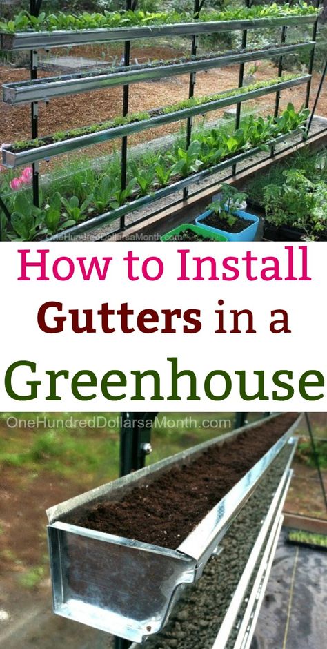 Greenhouse, How to Install Gutters in a Green House, Greenhouse Gardening, Greenhouse Gardens, Greenhouse Vegetables Tailgating Trailers, Dream Greenhouse, Backyard Homesteading, Homesteading Life, Greenhouse Vegetables, Greenhouse Farming, Micro Garden, Diy Greenhouse Plans, Homestead Ideas