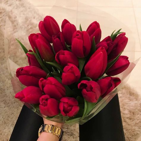 #tulipanes #rojo #love #amazing Red Tulips Bouquet, A Bunch Of Flowers, Money Flowers, Boquette Flowers, Tulip Bouquet, Nothing But Flowers, Flower Therapy, Red Tulips, Luxury Flowers