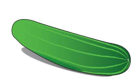 How to Draw a Cucumber Drawing Pictures For Kids, Vegetable Garden Markers, Win Lose Or Draw, Fruits Drawing, Growing Cucumbers, Drawing Pictures, Easy Doodle Art, Garden Markers, Classroom Door