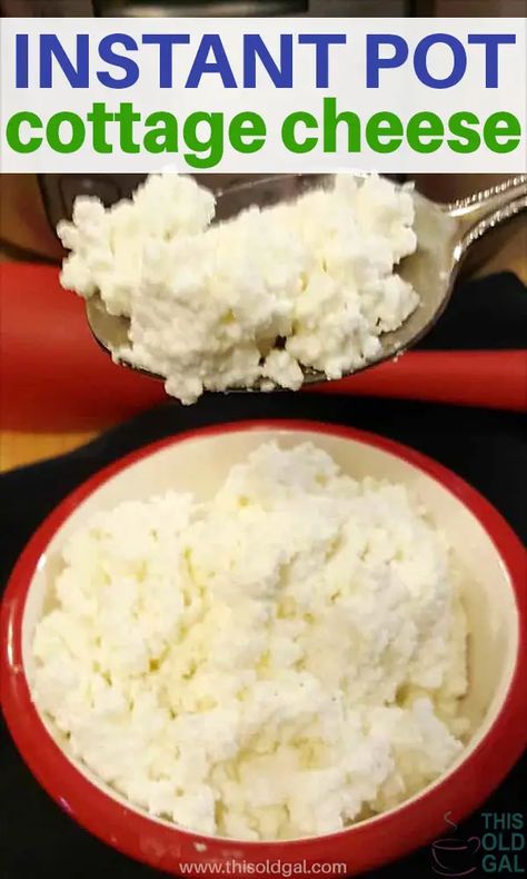 Instant Pot Cottage Cheese, Cottage Cheese Recipe, Homemade Cottage Cheese, Cheese Recipes Homemade, Cottage Meals, Instant Pot Yogurt, Recipe Low Carb, Cottage Cheese Recipes, Special Diet