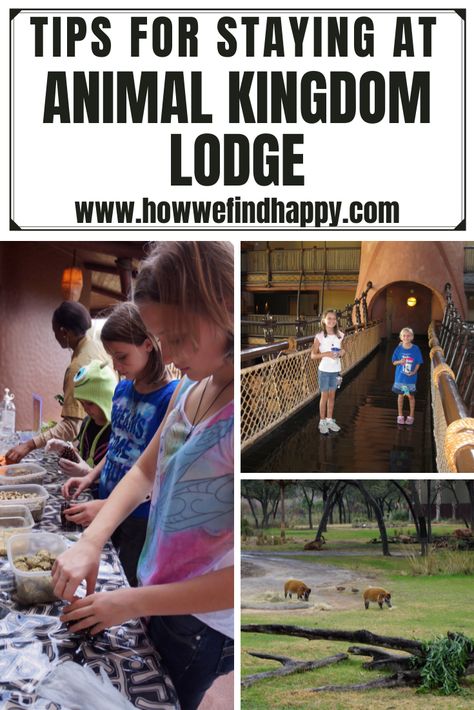 Animal Kingdom Lodge Tips, Animal Kingdom Lodge Rooms, Animal Kingdom Orlando Florida, Animal Kingdom Resort, Animals Disney, Disney Animal Kingdom Lodge, Universal Trip, Traveling Ideas, Disney Resort Hotels