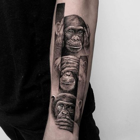 Monkey Sleeve Tattoo, Gorilla Arm Tattoo, Three Monkeys Tattoo, Monkey Tattoo Men, African Safari Tattoo, 3 Monkeys Tattoo, Monkey Tattoo Design, Gorilla Tattoo Design, December Tattoo