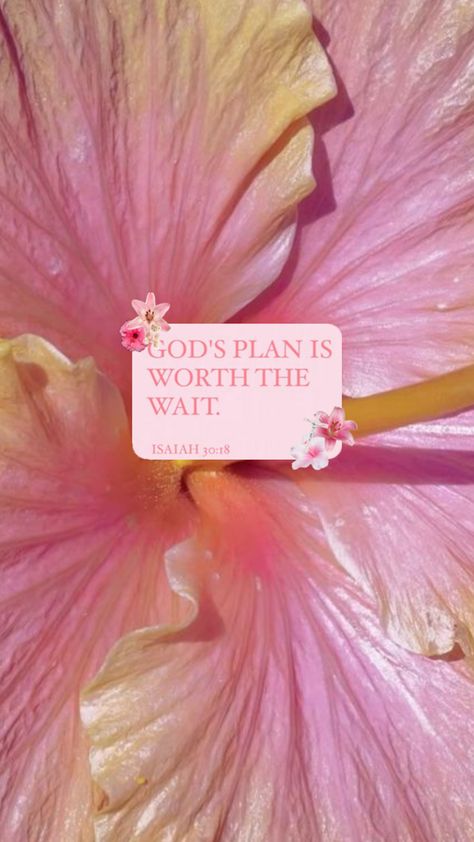 bible verse for my girly 🫶🏻💖 Girly Bible, Bible Quotes Healing, Jesus Love Images, Bible Quotes Background, Floral Bible Verse, Scripture Wallpaper, Backgrounds Girly, Christian Quotes Wallpaper, Happy Sabbath