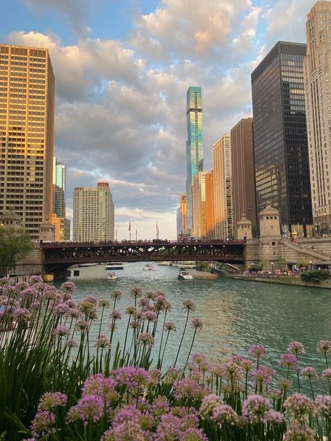 Life In Chicago, Chicago Spring Aesthetic, Chicago Living Aesthetic, Chicago Vision Board, Spring In Chicago, Chicago Illinois Aesthetic, Chicago Aesthetic Summer, Chicago Summer Aesthetic, Chicago In Summer