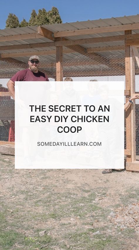 This one secret makes all the difference in the world when it comes to building a chicken coop. Do It Yourself Chicken Coop How To Build, Building A Chicken Coop Cheap, Easy Chicken Shelter, Chicken Run Plans Diy, How To Build A Cheap Chicken Coop, Chicken And Duck Run Ideas, Diy Chicken Coop 20 Chickens, Diy Chicken House Cheap, Easy Coop Ideas