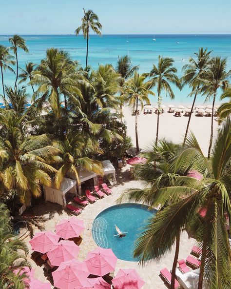 Morning magic in Hawaii 🌺 No filter, no editing. I couldn’t even imagine it would be so beautiful here! And that we are staying at the most iconic resort in Waikiki - @royal_hawaiian! Guests can enjoy two of Hawaii’s finest hotel pools: the serene and intimate Malulani Pool, as well as the vibrant Helumoa Playground, ideal for families and children! Hard to beat this paradise! 🌴🌊 #RoyalHawaiian #DoYouDreamInPink #OnlyAtTheRoyal Hawaii Pool, Royal Hawaiian Hotel, Morning Magic, Hawaiian Resorts, Hawaii Resorts, Hawaii Trip, Hotel Pool, No Filter, Hawaii Travel