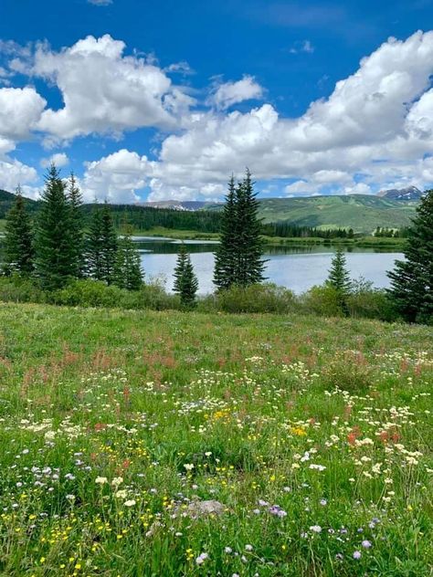 Flower Field Reference, Landscape Reference Photos For Artists, Landscape Reference Photos, Serene Garden, Reference Photos For Artists, Field Landscape, Grass Valley, Field Of Flowers, Spring Landscape