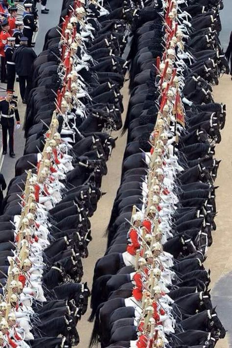 All the Queen’s horses Household Cavalry, Horse Guards, Royal Guard, All The Pretty Horses, Military Uniforms, Horse Crazy, Equestrian Life, London Love, Pretty Horses