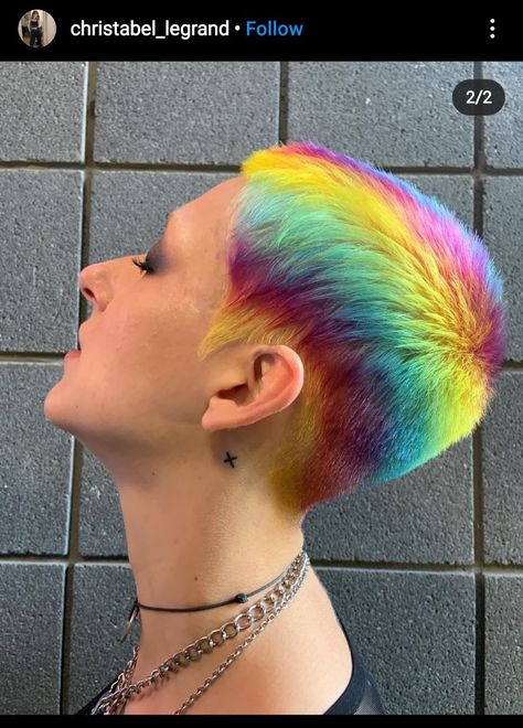 Shaved Hair Dye, Shaved Hair Designs, Couture Hairstyles, Beard Colour, Rainbow Eyes, Rainbow Hair Color, Pulp Riot, Super Short Hair, Creative Hairstyles