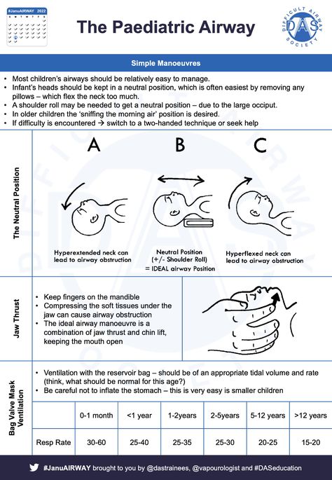 Airway Management, Respiratory Therapy, Nursing School Notes, Respiratory, Medical Knowledge, Homeopathy, School Notes, Nursing School, Pediatrics
