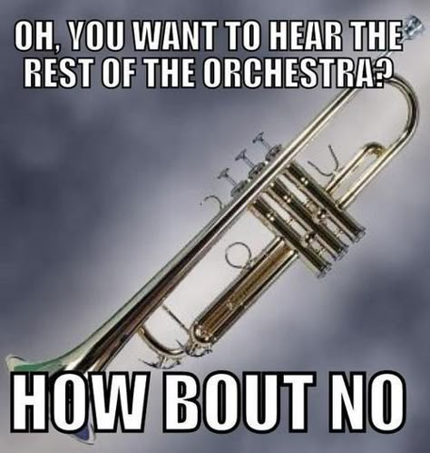 YES! Haha my band teacher yells at us trumpets because he can't hear the clarinets because we're too loud... Funny Band Jokes, Marching Band Memes, Music Puns, Band Problems, Trumpet Music, Band Teacher, Clarinets, Trumpet Player, Musician Humor